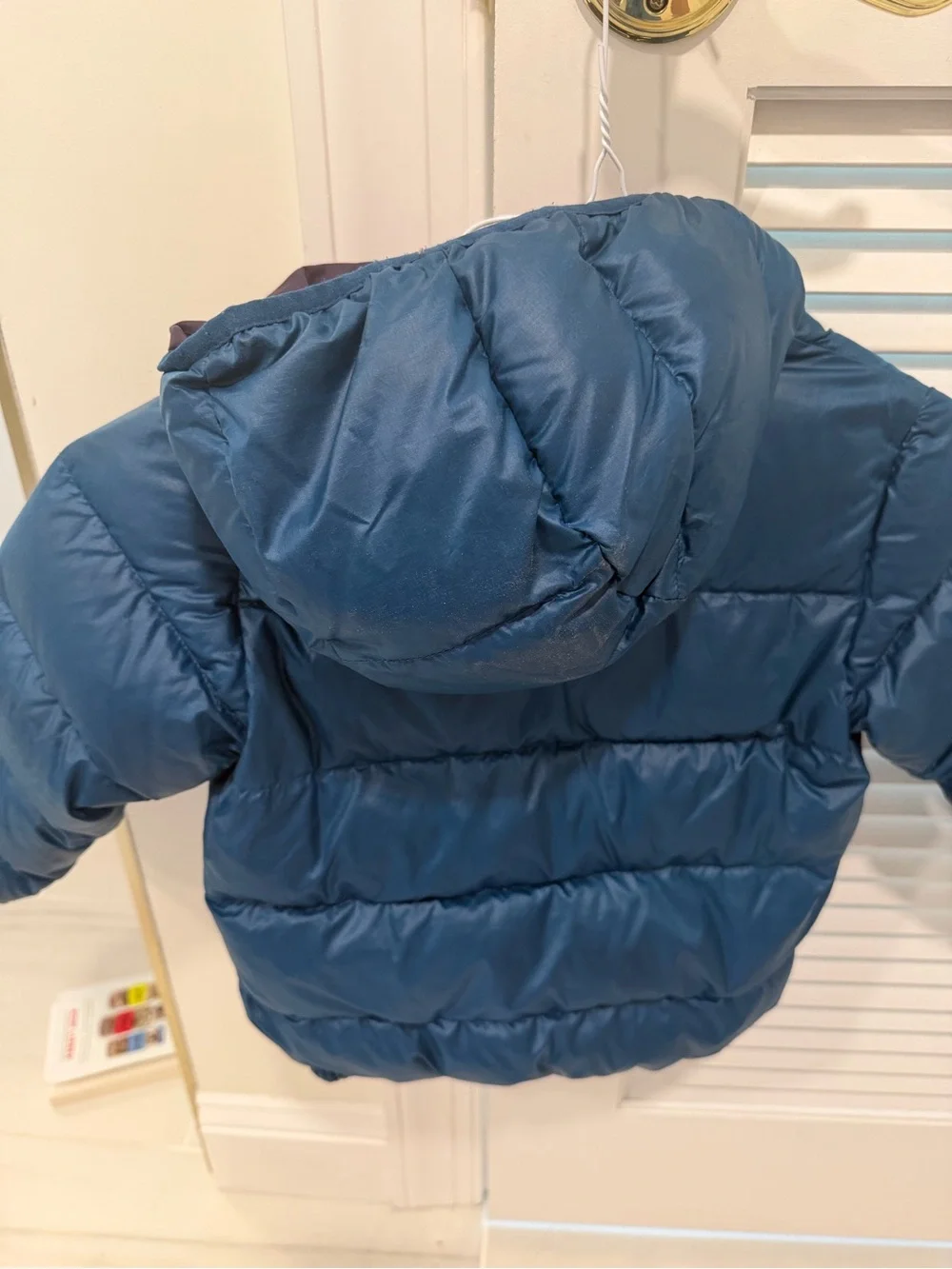 Patagonia Teal Puffer Jacket - 3T